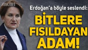 Meral Akşener, Erdoğan'a böyle seslendi: Bitlere fısıldayan adam