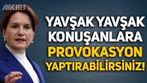 Meral Akşener: Yavşak yavşak konuşanlara provokasyon yaptırabilirsiniz!