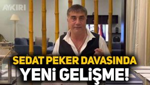 Sedat Peker davasında yeni gelişme: Mal varlıklarına tedbir konulsun talebi