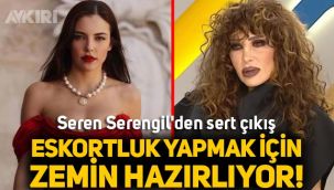 Seren Serengil'den Aygün Aydın'a: Eskortluk yapmak için zemin hazırlıyor