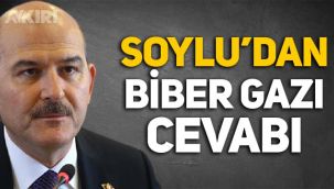Süleyman Soylu'dan biber gazı açıklaması