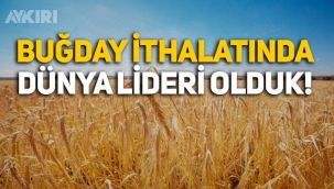 Türkiye, buğday ithalatında Çin'i geçti, dünya lideri oldu!