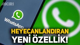 WhatsApp'a yeni özellik geldi: Emoji ile tepki verme