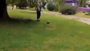 Yalova'da kediyi tekmeyelerek öldüren cani tutuklandı