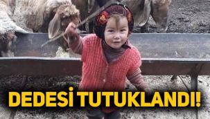 Müslüme öldürüldü mü? 3 yaşındaki Müslüme'nin dedesi tutuklandı