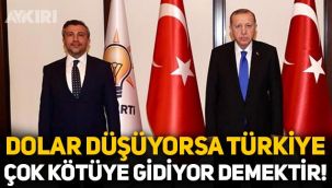 AKP’li başkan: Dolar düşüyorsa Türkiye çok kötüye gidiyor demektir