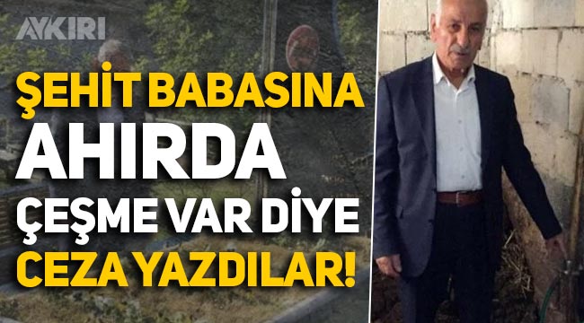 AKP'li Trabzon Büyükşehir Belediyesi, şehit babasına "Ahırında çeşme var" diye ceza yazdı