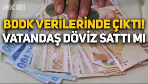 BDDK verilerinde ortaya çıktı: Vatandaş geçen hafta dövizini sattı mı?