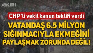 CHP'li Suzan Şahin kanun teklifi verdi: 