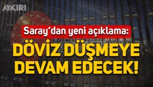 Cumhurbaşkanlığı'ndan döviz açıklamasını: Çözülmenin devam etmesini bekliyoruz
