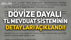 Döviz garantili mevduatın ayrıntıları! Dövize endeksli TL mevduat sistemi nasıl işleyecek, ne zaman başlayacak?