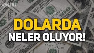 Dövizde dalgalanma sürüyor: Dolar yeniden 12 lirayı aştı, 13'e dayandı