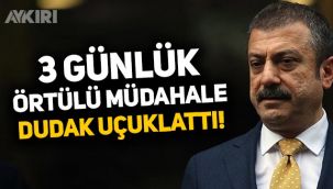 Ekonomist Haluk Bürümcekçi: Merkez Bankası üç günde 8,6 milyar dolar sattı