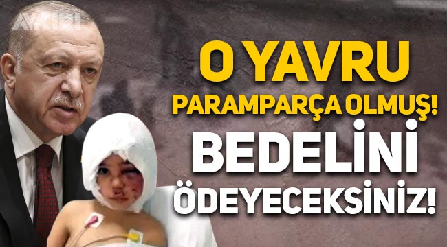 Erdoğan'dan pitbull saldırısına uğrayan Asiye hakkında açıklama: Bedelini ödeyeceksiniz