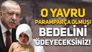 Erdoğan'dan pitbull saldırısına uğrayan Asiye hakkında açıklama: Bedelini ödeyeceksiniz