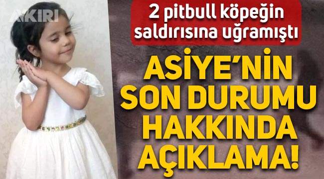 Gaziantep'te pitbull cinsi köpeklerin saldırdığı 4 yaşındaki Asiye'nin sağlık durumu hakkında açıklama