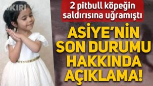 Gaziantep'te pitbull cinsi köpeklerin saldırdığı 4 yaşındaki Asiye'nin sağlık durumu hakkında açıklama