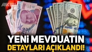 Hazine ve Maliye Bakanlığı'ndan 9 madde: Kur korumalı TL mevduat sisteminin detayları!