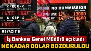 İş Bankası Genel Müdürü açıkladı: Ne kadar dolar bozduruldu?