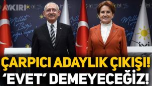İYİ Parti'den Cumhurbaşkanı adaylığı açıklaması: 