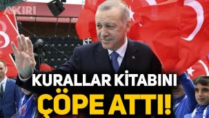 Japonlardan Erdoğan analizi: Kurallar kitabını çöpe attı