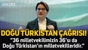 Meral Akşener'den Doğu Türkistan açıklaması: 36 milletvekilimizin 36'sı da Doğu Türkistan'ın milletvekilleridir