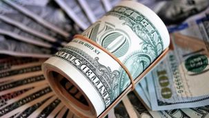 Merkez Bankası 10 Aralık'taki üçüncü müdahalesinin miktarını açıkladı