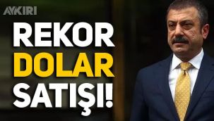 Merkez Bankası'ndan Kasım ayında rekor dolar satışı! BOTAŞ'a 2.2 milyar dolar...