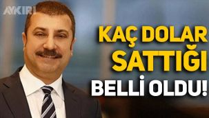 Merkez Bankası piyasaya müdahalesinde kaç dolar sattı