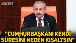 Mustafa Şentop'tan erken seçim açıklaması: Cumhurbaşkanı kendi süresini niye kısaltsın