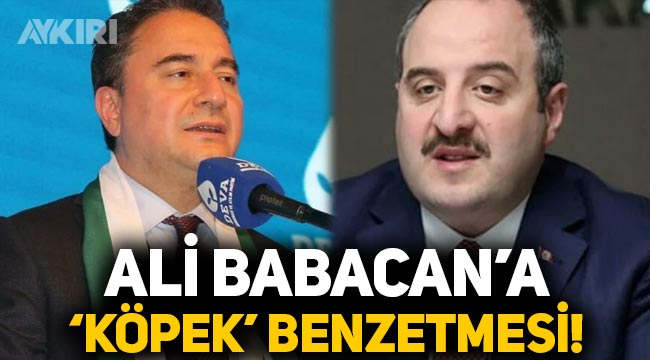 Mustafa Varank'tan Ali Babacan'a 'köpek' benzetmesi