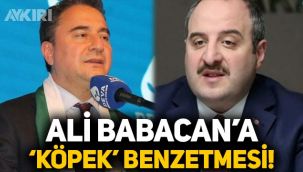 Mustafa Varank'tan Ali Babacan'a ‘köpek' benzetmesi