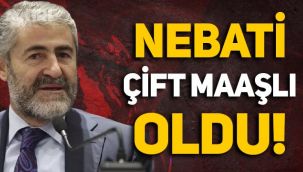 Nureddin Nebati çift maaşlı çıktı: 65 bin TL maaş alacak