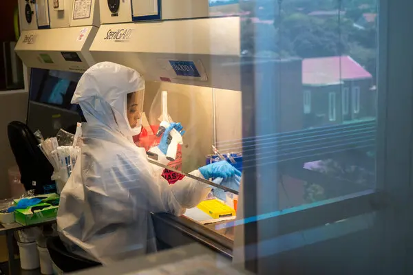 Omicron varyantının ilk görüldüğü Güney Afrika vaka sayıları düşüyor
