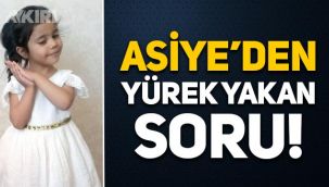Pitbull saldırısına uğrayan Asiye'den ameliyat öncesi yürek yakan soru!