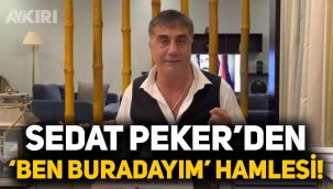 Sedat Peker'den yeni hamle: Uzun süredir paylaşım yapmayan Peker, Twitter'da paylaşımı beğendi