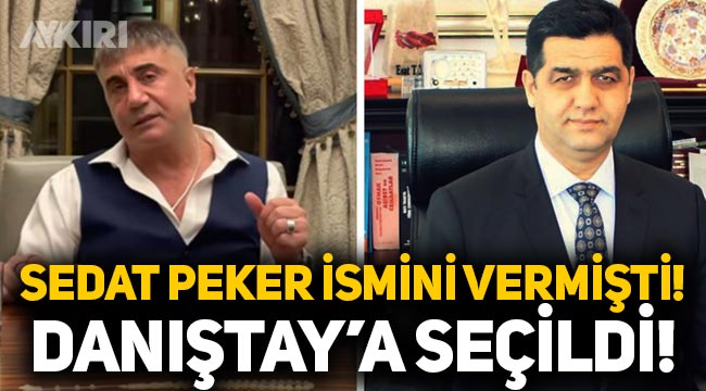 Sedat Peker'in iddialarıyla gündeme gelen Esat Toklu, Danıştay'a seçildi!