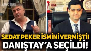 Sedat Peker'in iddialarıyla gündeme gelen Esat Toklu, Danıştay'a seçildi!