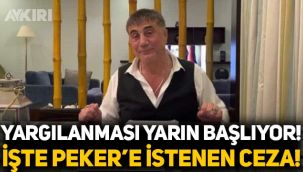 Sedat Peker'in yargılanması yarın başlıyor, işte Sedat Peker için istenen ceza!