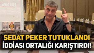 Sedat Peker tutuklandı iddiası ortalığı karıştırdı! El Cezire'den açıklama geldi: Tercüme hatası