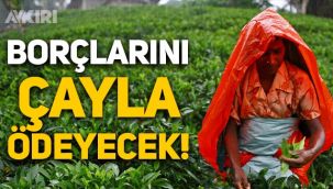 Sri Lanka, İran'a olan borçlarını çayla ödeyecek