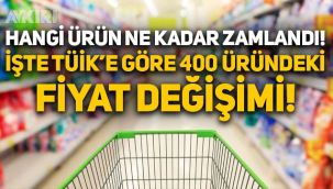 TÜİK'e göre 1 yılda hangi ürün ne kadar zamlandı? 400 üründeki fiyat değişimi