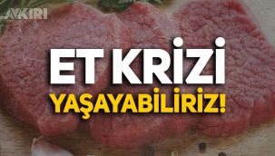 Türkiye Kasaplar Federasyonu: Et krizi yaşayabiliriz