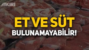 TÜSEDAD'dan korkutan açıklama: Vatandaşlar et ve süt bulmakta zorlanacak