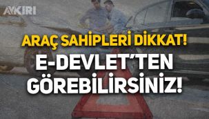 Araç sahipleri dikkat: e-Devlet'ten görebileceksiniz! Maddi hasarlı trafik kazası tespit tutanakları e-Devlet'te