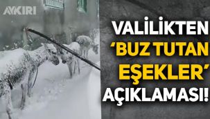 'Buz tutan eşek' görüntüleri hakkında Van Valiliği'nden açıklama