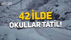 Eğitime kar engeli: 42 ilde okullar tatil edildi! Hangi illerde okullar tatil edildi?
