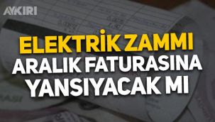 Elektrik zammı Aralık ayı faturasına yansıyacak mı? Sektör yetkilileri açıkladı