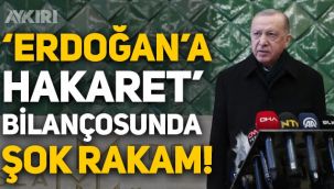 'Erdoğan'a hakaretten' açılan soruşturmaların sayısı 160 bini geçti