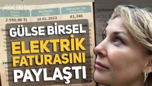 Gülse Birsel 3+1 evlerinin elektrik faturasını paylaştı